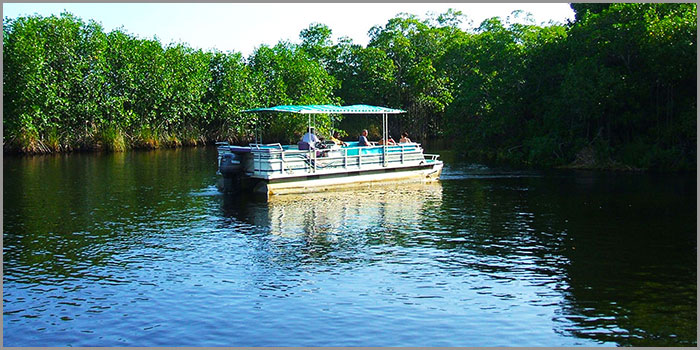 black river boat tour