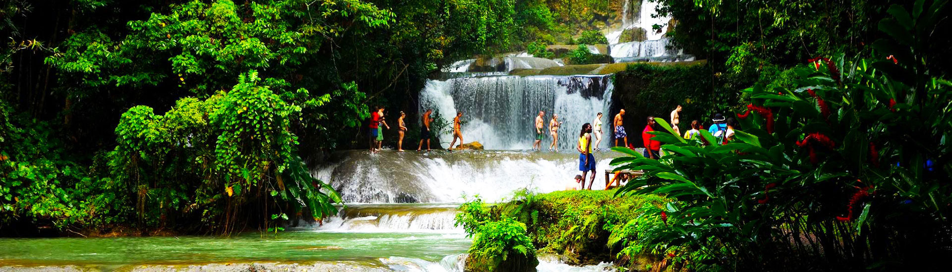 black river safari jamaica